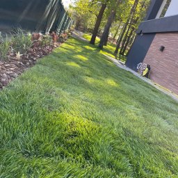 P.H.U Konrad Pacholczyk Metrycki - Przed domem Ożarów Mazowiecki