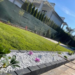 P.H.U Konrad Pacholczyk Metrycki - Nowoczesny ogród z trawnikiem, białymi kamieniami i obrzeżami z kostki. W tle dom z zielonymi tujami. Całość w słoneczny dzień.