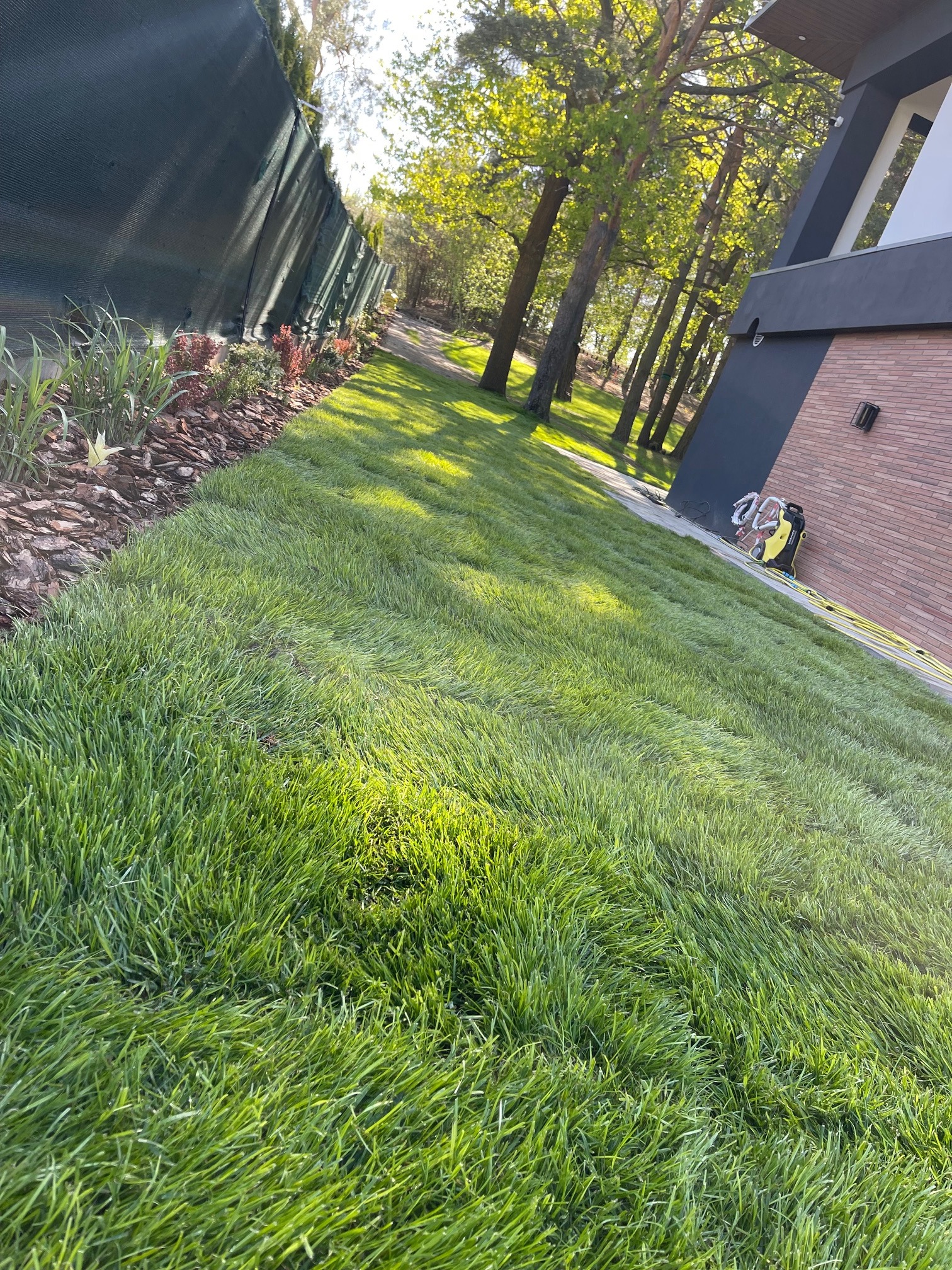 Świeżo założony trawnik z rolki przylegający do nowoczesnego domu z cegły, z widocznym systemem nawadniania i fragmentem ogrodzenia z siatki maskującej.