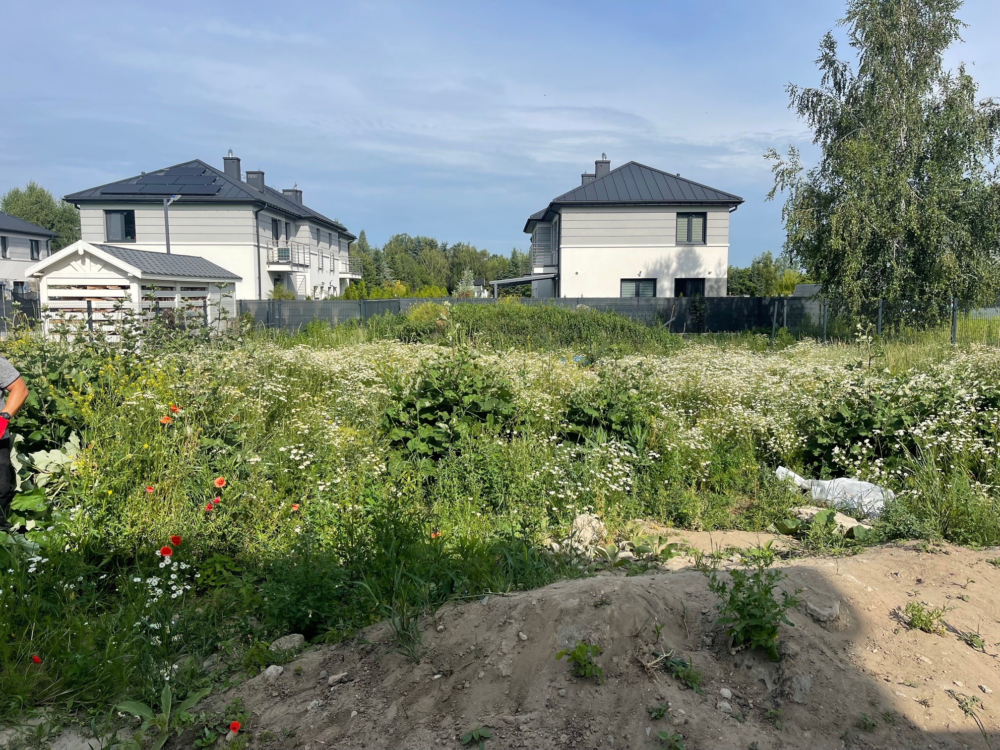 Działka przed budową z bujną roślinnością, w tle nowoczesne domy jednorodzinne z szarymi dachami i ogrodzeniem. Widać kopiec ziemi i fragment osoby po lewej stronie.