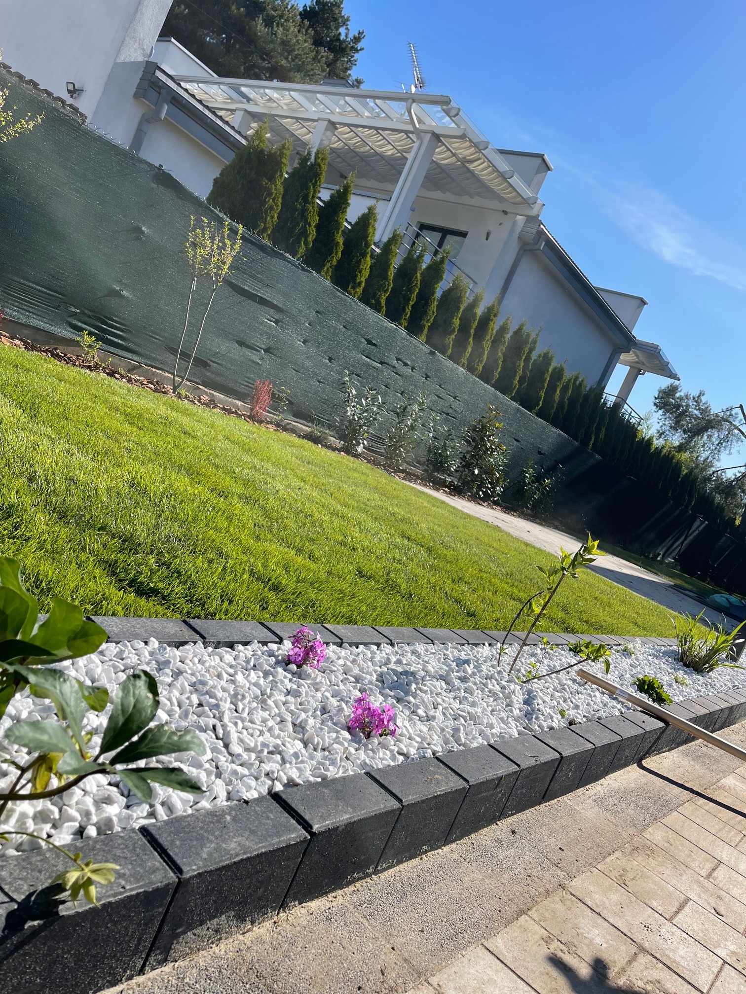 Nowoczesny ogród z trawnikiem, białymi kamieniami i obrzeżami z kostki. W tle dom z zielonymi tujami. Całość w słoneczny dzień.