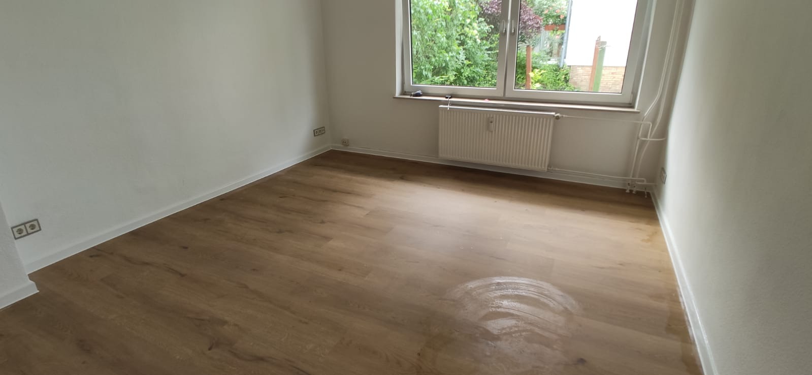 Jasne panele podłogowe ułożone w pustym pokoju z białymi ścianami, grzejnikiem pod oknem i widokiem na zieleń za oknem, widoczny okrągły ślad po czyszczeniu na podłodze.