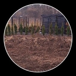 D P KRÓL SPÓŁKA Z OGRANICZONĄ ODPOWIEDZIALNOŚCIĄ - Przygotowany teren pod nasadzenia w ogrodzie: równe rzędy małych tuj, częściowo usunięte krzewy, spulchniona ziemia, w tle ogrodzenie i budynek gospodarczy.