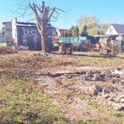 D P KRÓL SPÓŁKA Z OGRANICZONĄ ODPOWIEDZIALNOŚCIĄ - Zarośnięta działka z pozostałościami gruzu i gałęzi, widoczny budynek gospodarczy z dwoma oknami i obciętym drzewem, w tle zabudowania mieszkalne.