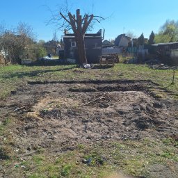 D P KRÓL SPÓŁKA Z OGRANICZONĄ ODPOWIEDZIALNOŚCIĄ - Przygotowany teren pod trawnik z widocznymi śladami po usunięciu darni, obok drzewo z obciętymi gałęziami, w tle zabudowania gospodarcze i domy.