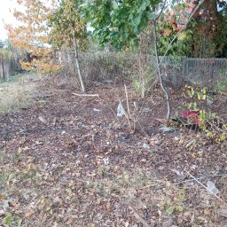 Czyszczenie działki plus wycinka drzew i krzewów 