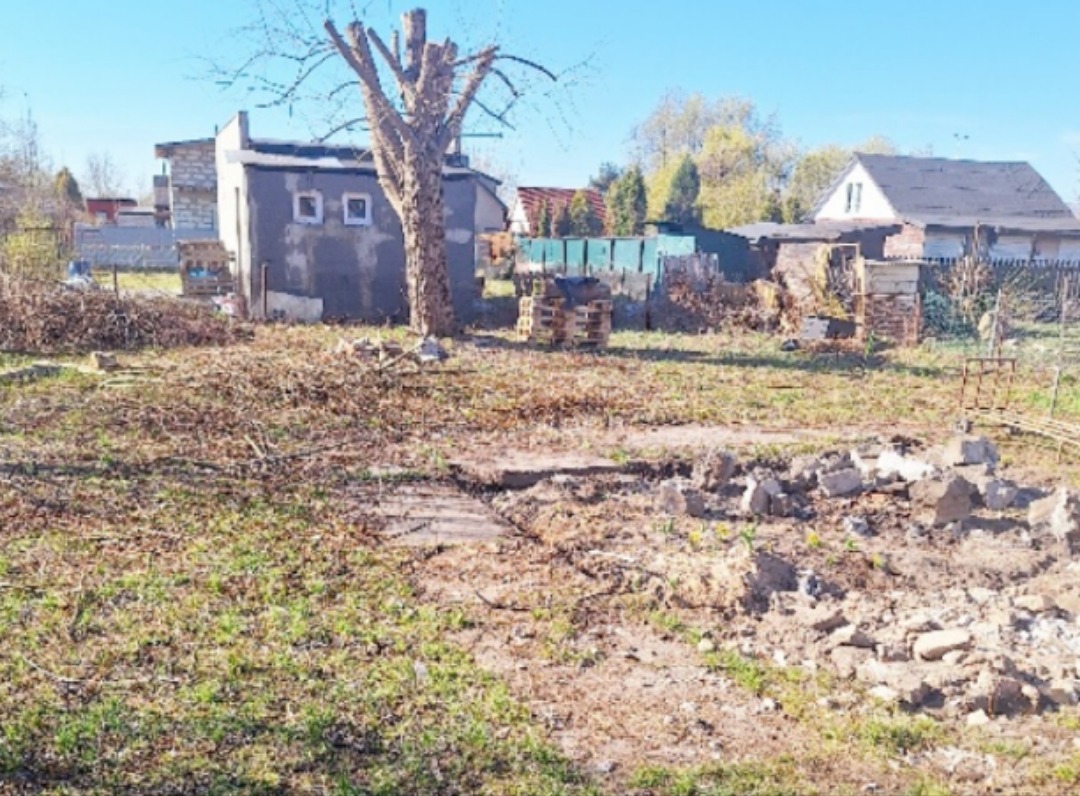 Zarośnięta działka z pozostałościami gruzu i gałęzi, widoczny budynek gospodarczy z dwoma oknami i obciętym drzewem, w tle zabudowania mieszkalne.