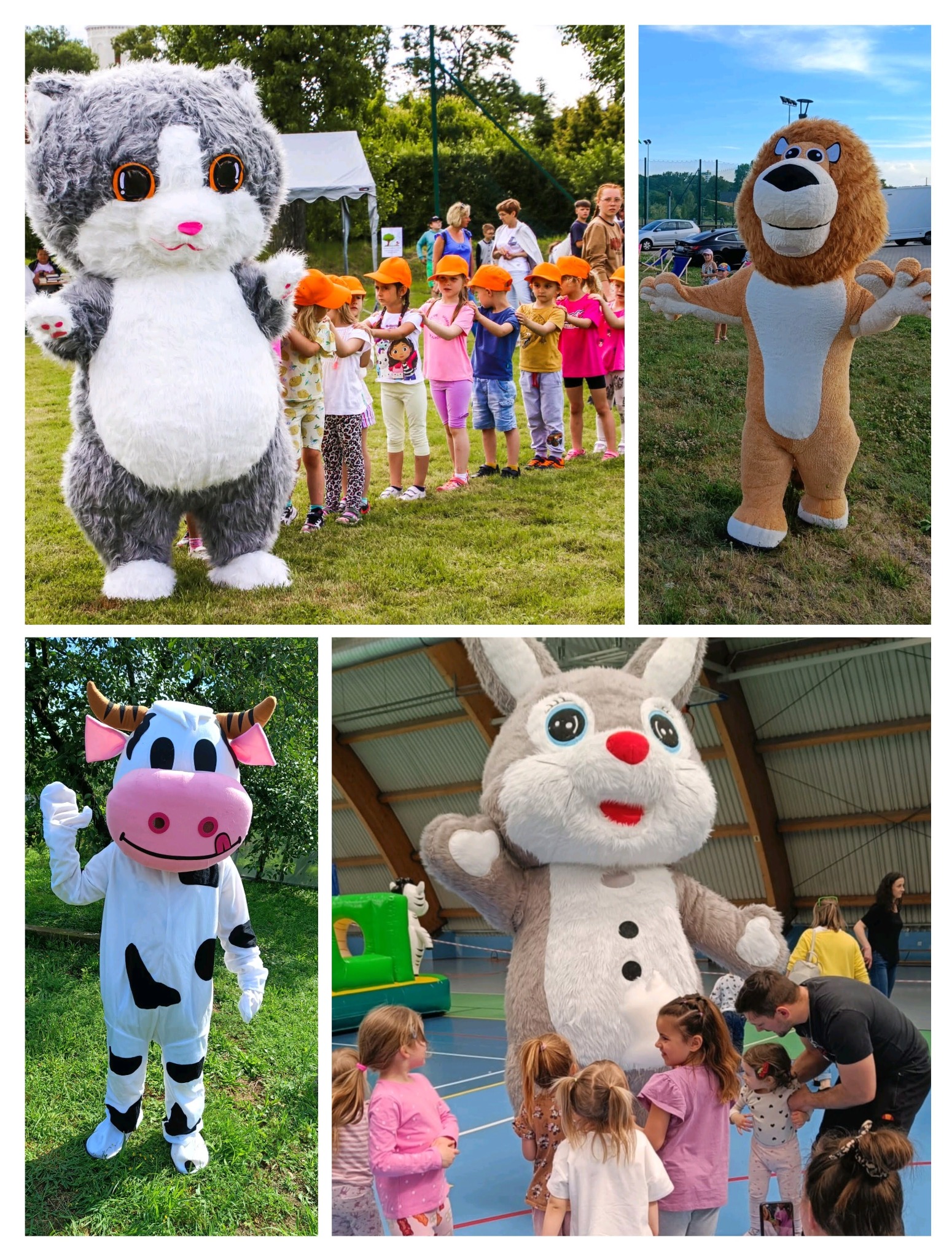 Kolaż z czterech zdjęć: animatorzy w strojach kota, lwa, krowy i królika w otoczeniu dzieci podczas imprezy plenerowej i w hali sportowej.