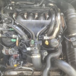 Transport busem Krzemieniewo 1