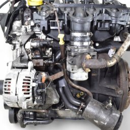 Transport busem Krzemieniewo 2