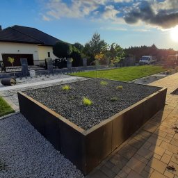 Wycinka drzew Lublin 3