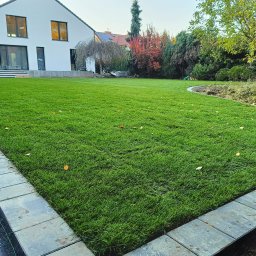 Wycinka drzew Lublin 1