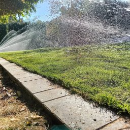 Wycinka drzew Lublin 2