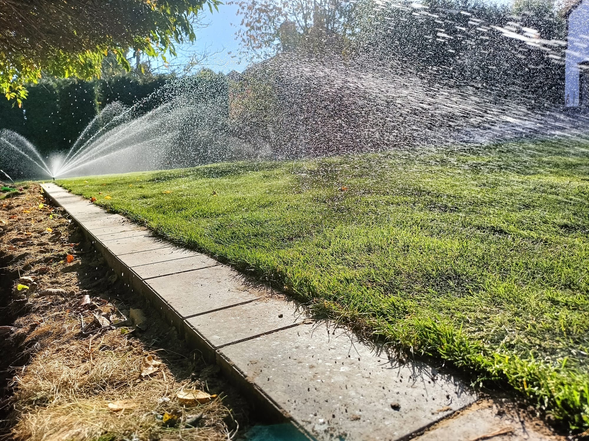 Automatyczny system nawadniania trawnika w akcji, rozpylacze zraszają intensywnie świeżą, zieloną trawę, widoczna obrzeża z kostki betonowej i przygotowane podłoże pod trawnik.