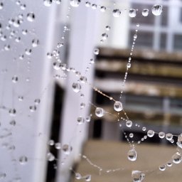 Amelia Piórkowska - Reklama Telewizyjna Gdańsk