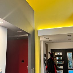 FlexiWorks-Przemysław Wolnik - Wnętrze domu z pomalowanymi ścianami na żółto, szaro i czerwono; widoczny fragment rośliny doniczkowej, drzwi wejściowe i wieszak z ubraniami.