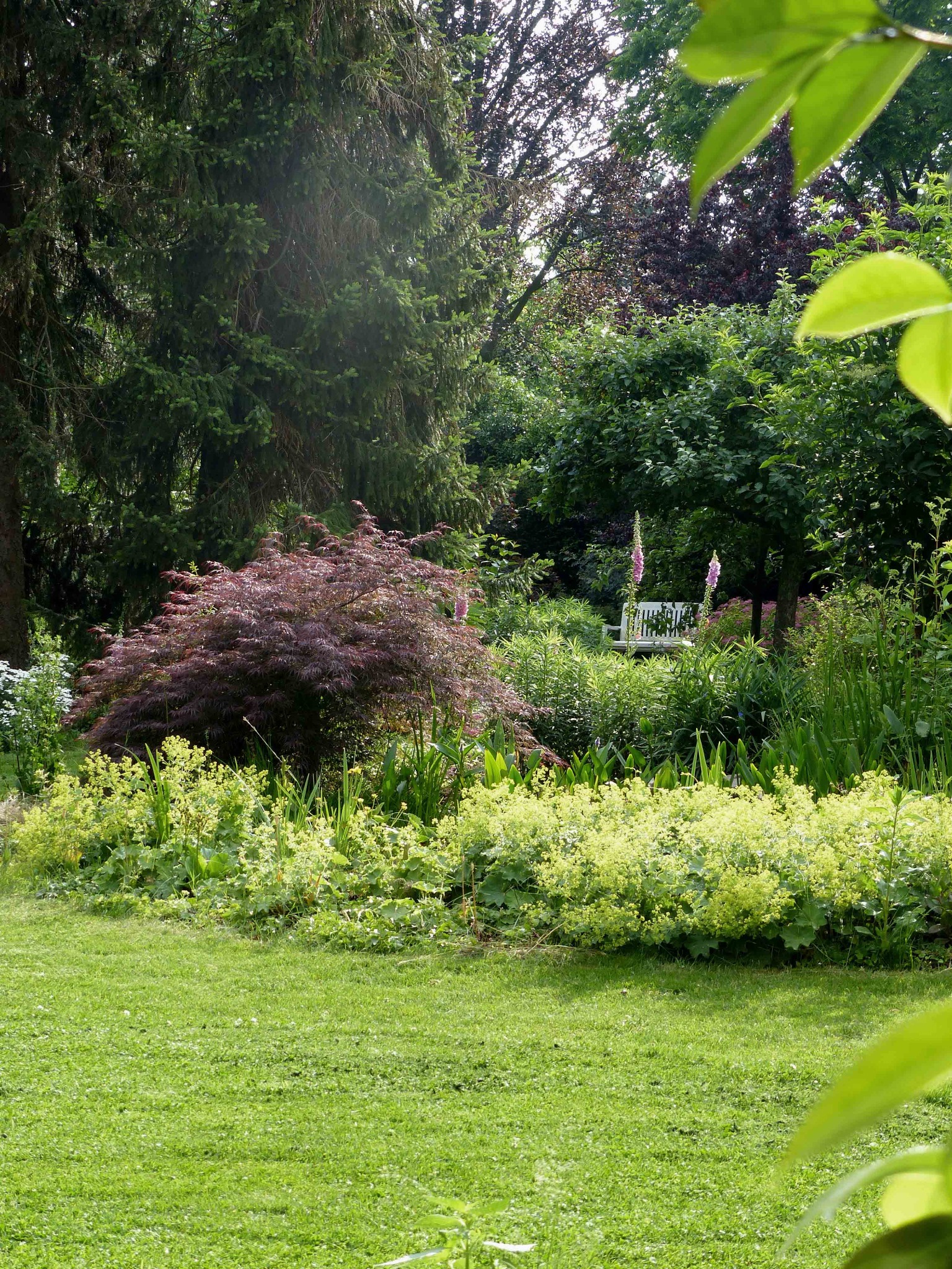 Urokliwy ogród z bujną zielenią, drzewami, kwitnącymi bylinami i białą ławką w tle, widzianą przez ramę z liści.