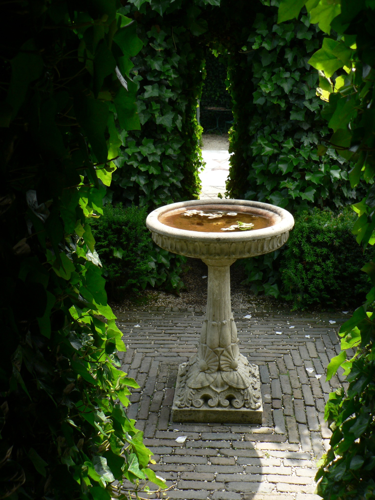 Kamienny karmnik dla ptaków z wodą i liśćmi, umieszczony na brukowanym dziedzińcu, otoczony łukiem z bluszczu.