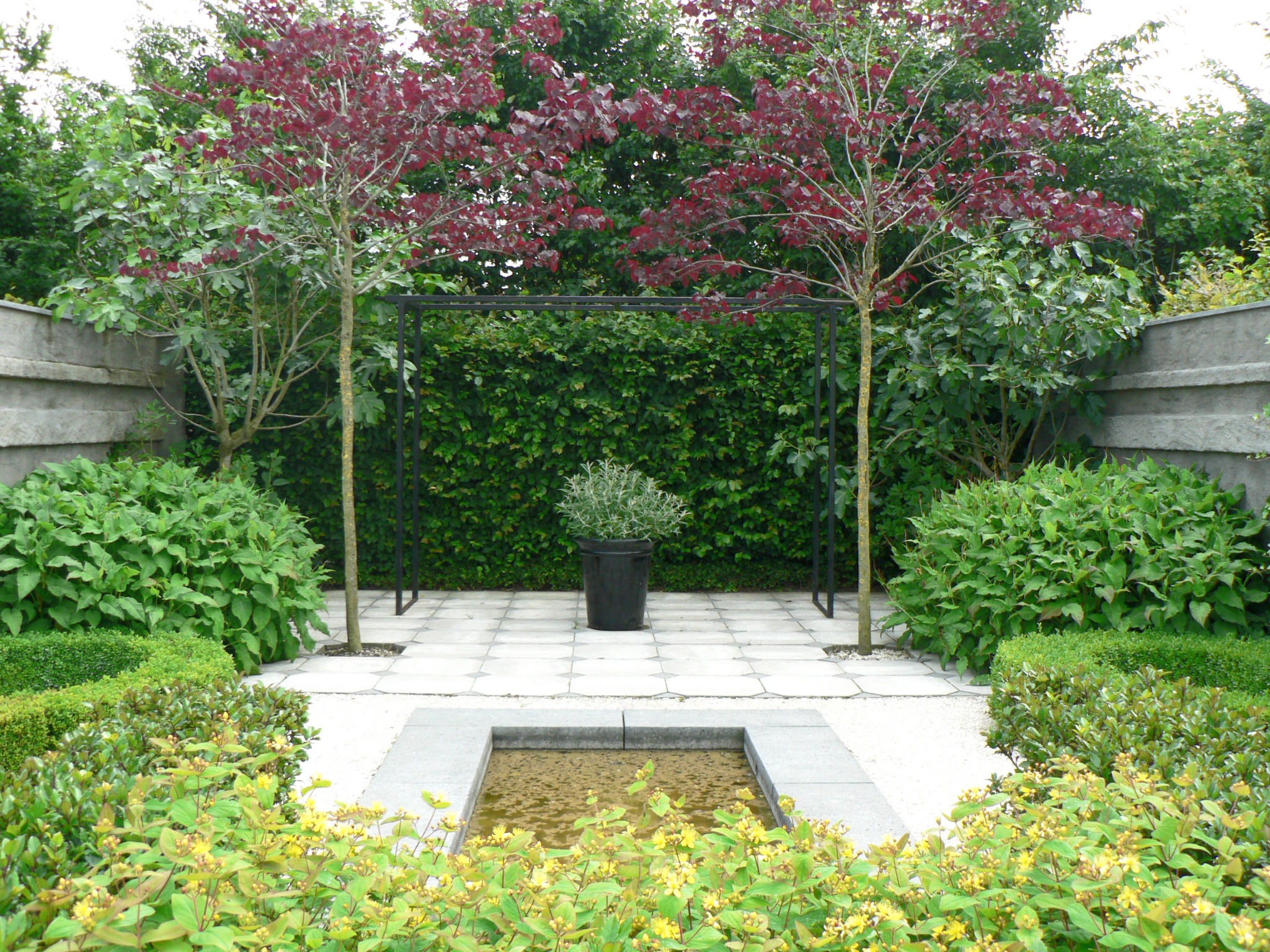 Symetryczny ogród z dwoma drzewami o bordowych liściach, żywopłotem w tle, małym zbiornikiem wodnym i roślinami kwitnącymi na żółto na pierwszym planie.