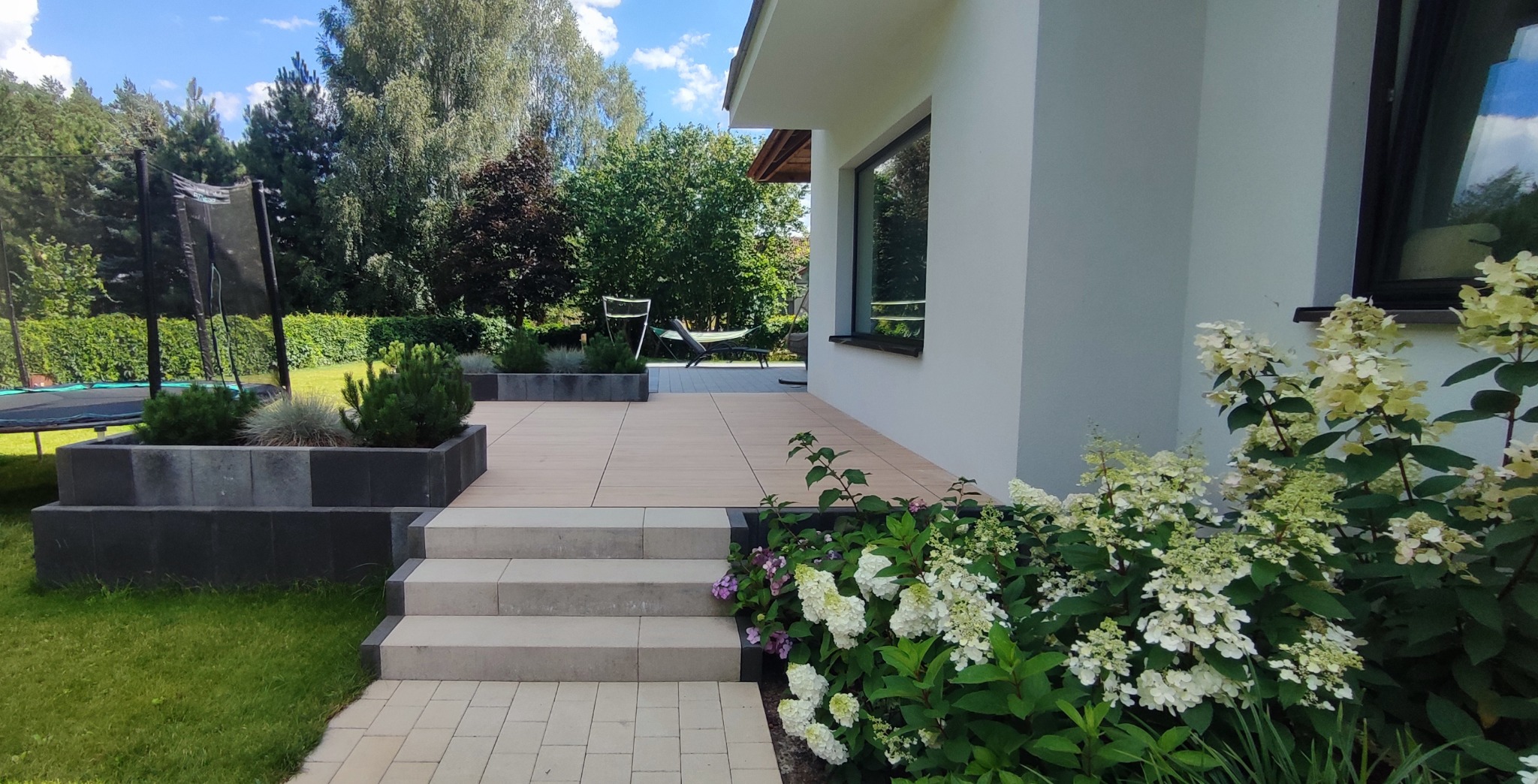 Nowoczesny ogród przydomowy z tarasem wyłożonym płytkami, betonowymi rabatami i schodami. W tle drzewa i trampolina. Kwitnące hortensje na pierwszym planie.