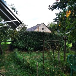 Wycinka drzew Zawiercie 1