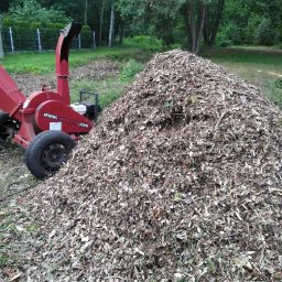 Wycinka drzew Zawiercie 2