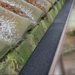 Rynna zabezpieczona czarną, porowatą wkładką, widoczne mchy na dachówkach i igliwie na dachu.