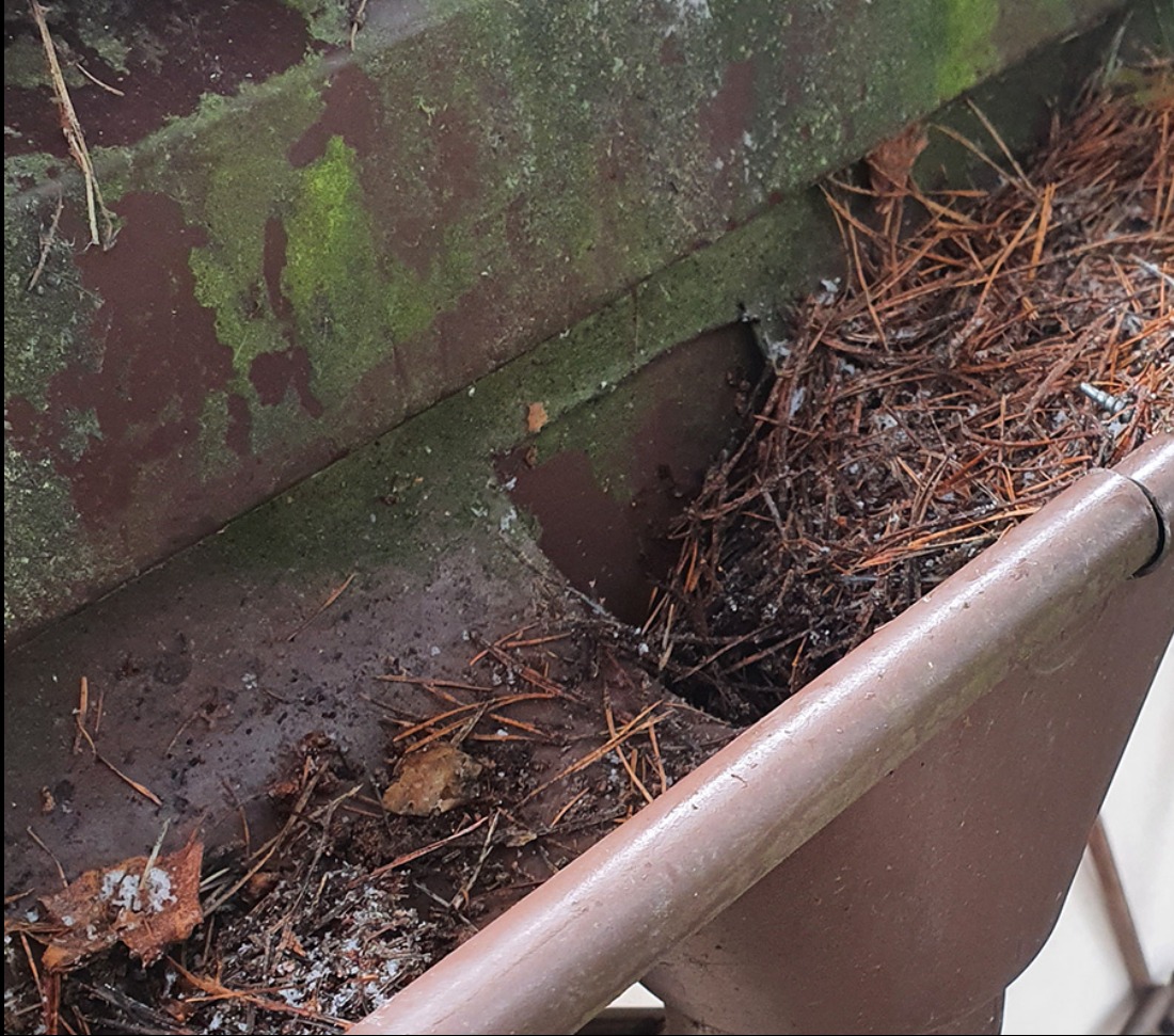 Zdjęcie brudnej rynny