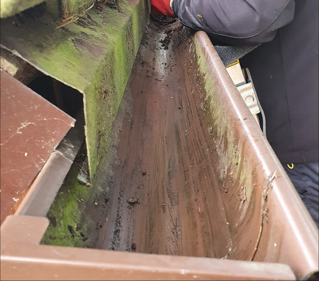 Brudna, zarośnięta mchem rynna w Szczecinie przed czyszczeniem, widoczne zanieczyszczenia i rękawica ochronna pracownika.