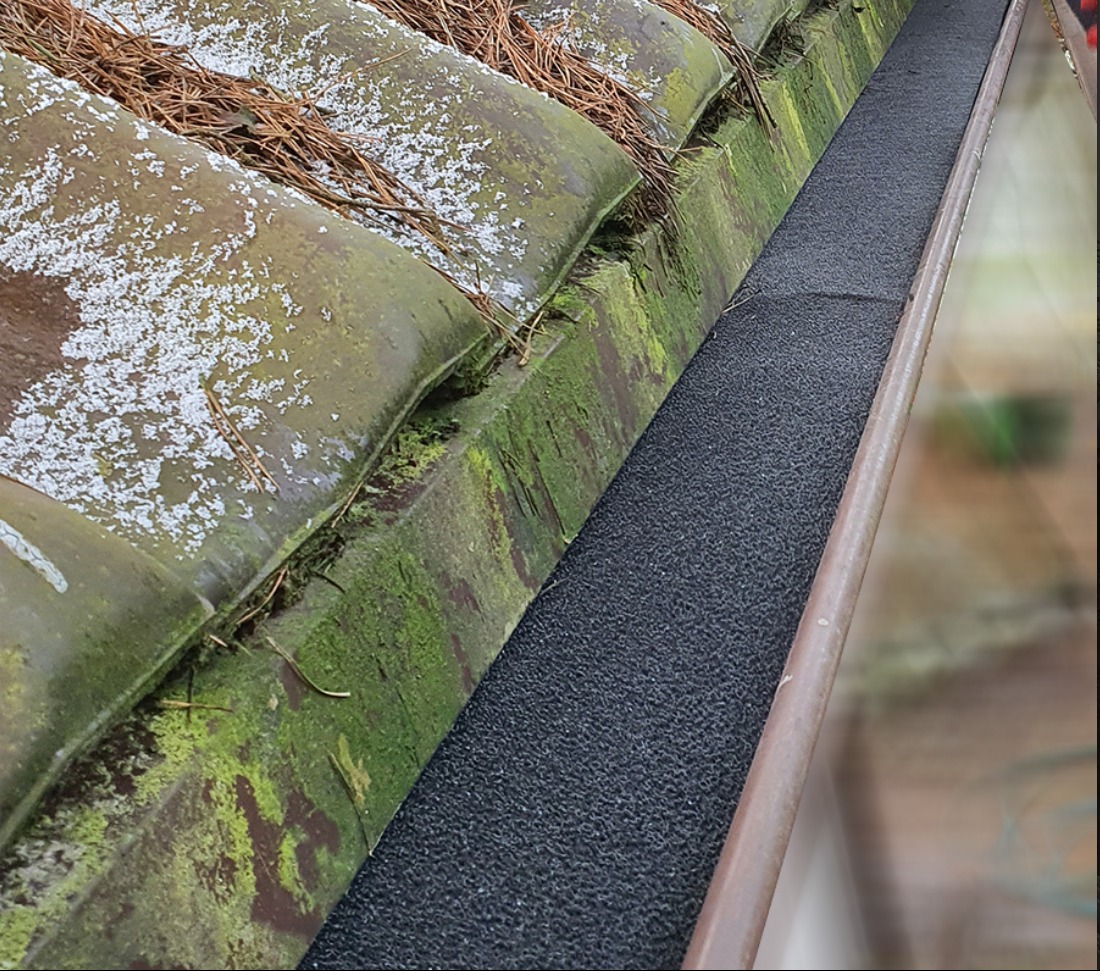 Rynna zabezpieczona czarną, porowatą wkładką, widoczne mchy na dachówkach i igliwie na dachu.