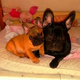 Wójcik tynki - Ocieplanie Budynków Wrocław