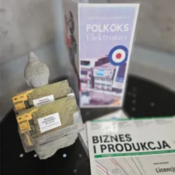 Wizytówki firmy Polkoks Electronics z motywem płyty głównej komputera, ulotka reklamowa i rzeźba głowy Buddy na czarnym tle.