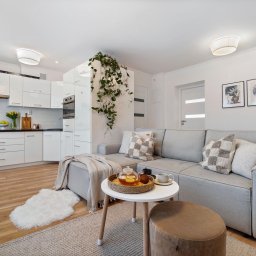Barbara Gromanowska Nieruchomości - Jasne wnętrze mieszkania z szarą sofą narożną, białymi meblami kuchennymi i drewnianą podłogą, dekorowane roślinami i dodatkami w neutralnych kolorach.