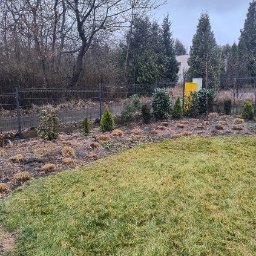 Pielęgnacja ogrodów Poznań 1