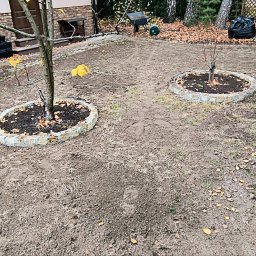 Pielęgnacja ogrodów Poznań 4