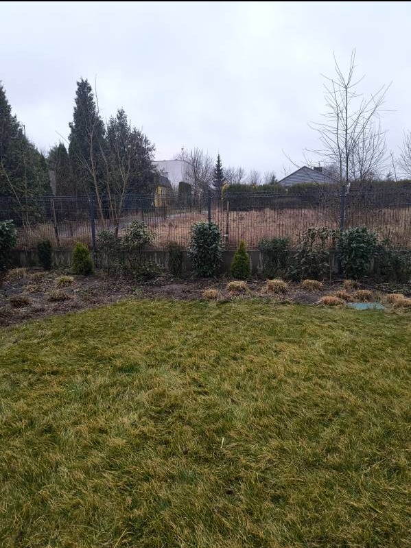 Jesienny ogród z widoczną trawą, krzewami i młodymi drzewkami posadzonymi wzdłuż metalowego ogrodzenia, pochmurne niebo w tle.