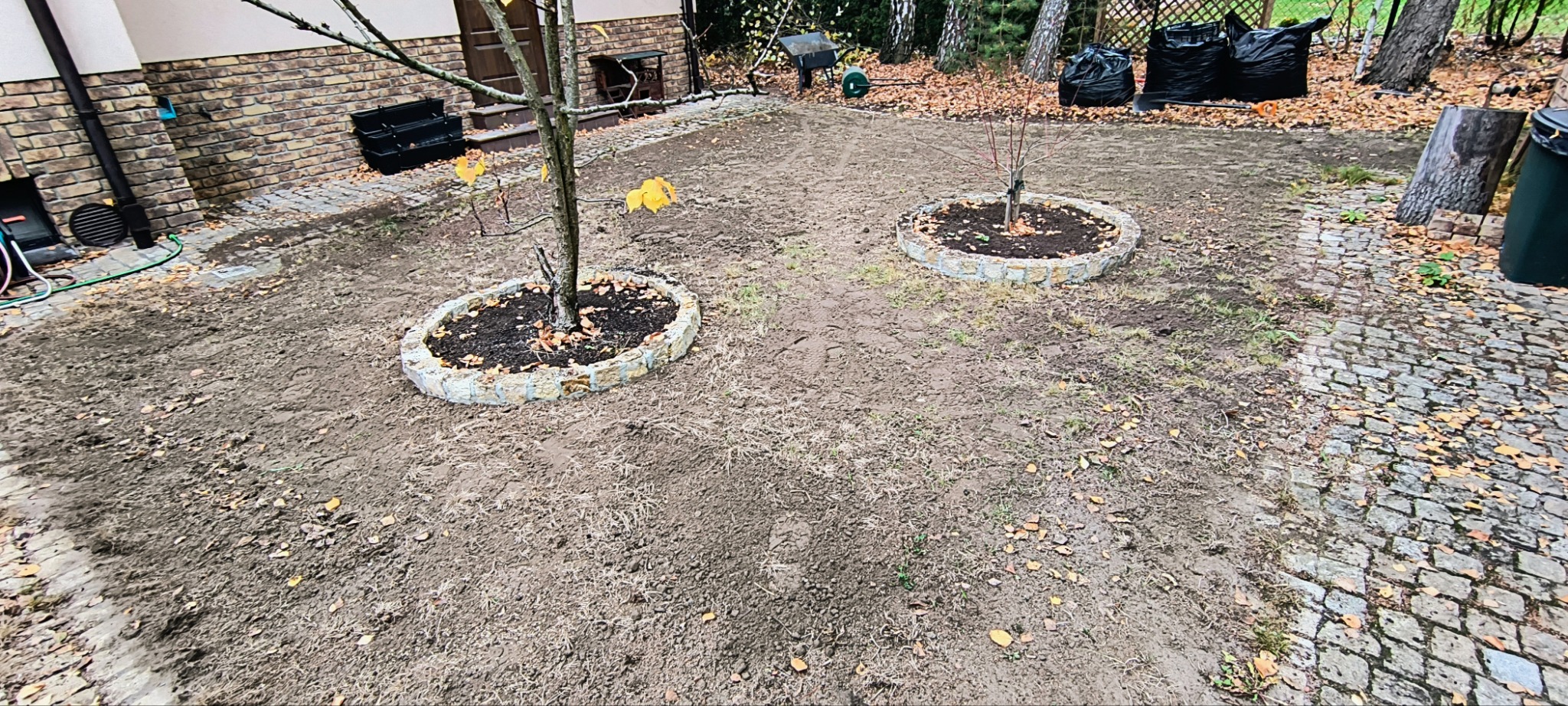 Przygotowany teren pod trawnik z dwoma młodymi drzewkami otoczonymi kamiennymi obrzeżami, widoczne czarne worki na śmieci i narzędzia ogrodnicze w tle.