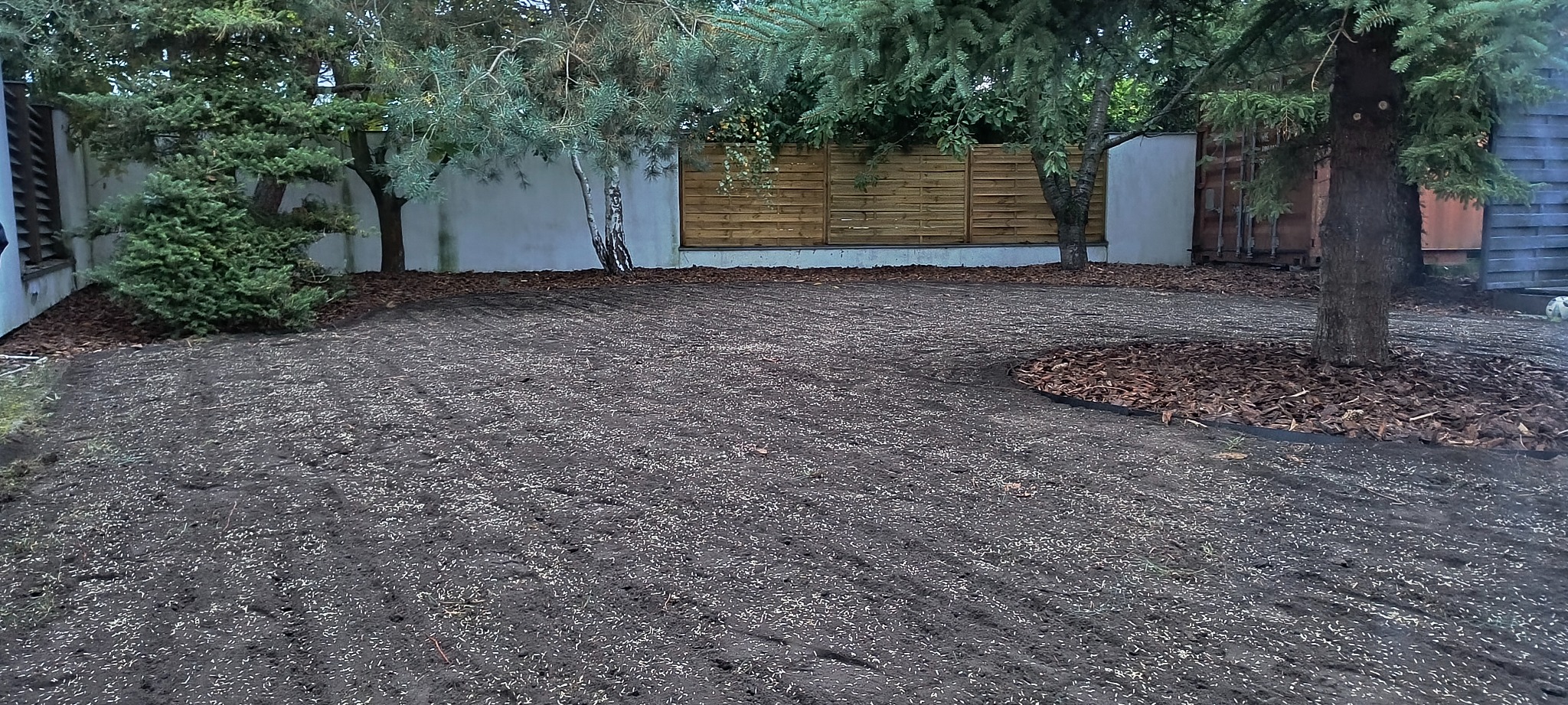 Przygotowany teren pod trawnik z rozsypanymi nasionami trawy, otoczony korą drzewną wokół drzew i krzewów, widoczne ogrodzenie panelowe w tle.