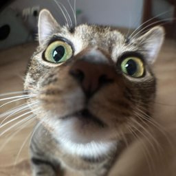 RUSLAN IVANOV - Bramy Wjazdowe Przesuwne Bydgoszcz