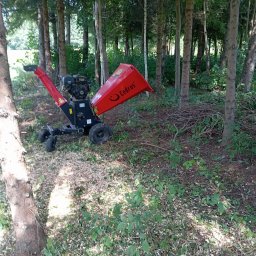 Wycinka drzew Rzeszów 2