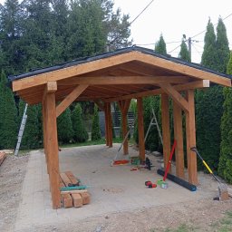 Wycinka drzew Rzeszów 3