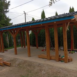 Wycinka drzew Rzeszów 4