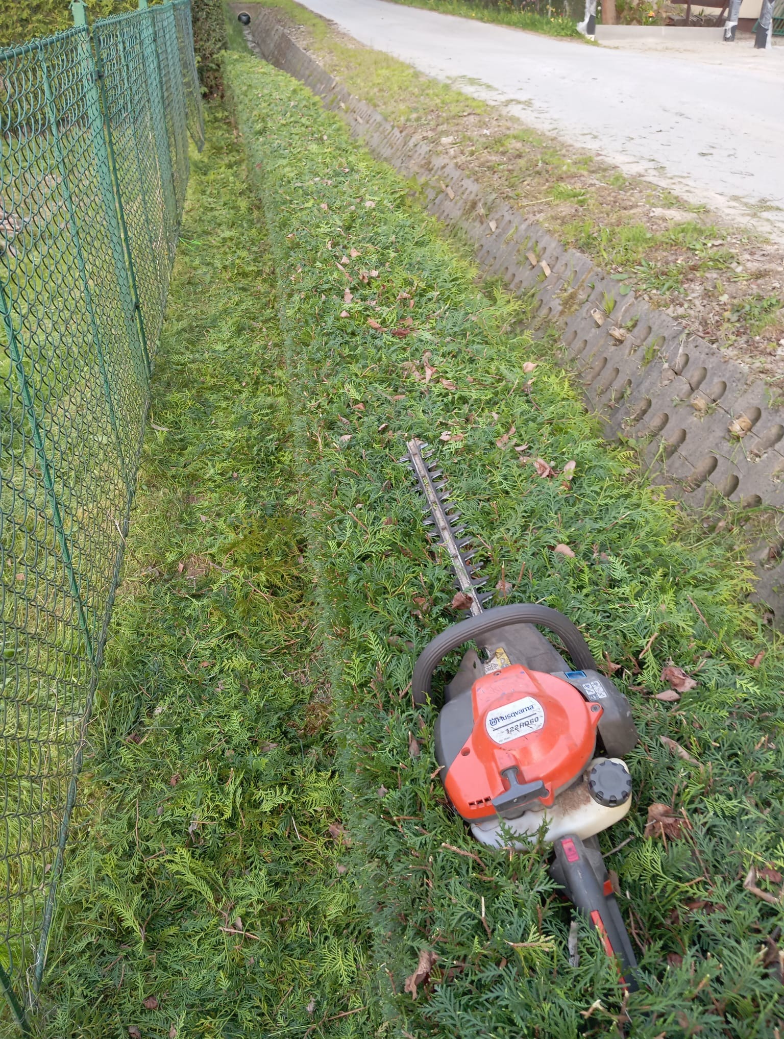 Przycięty żywopłot z resztkami gałęzi, obok leży spalinowa nożyca do żywopłotu Husqvarna 122HD60, widoczna metalowa siatka ogrodzeniowa i betonowe obrzeże.