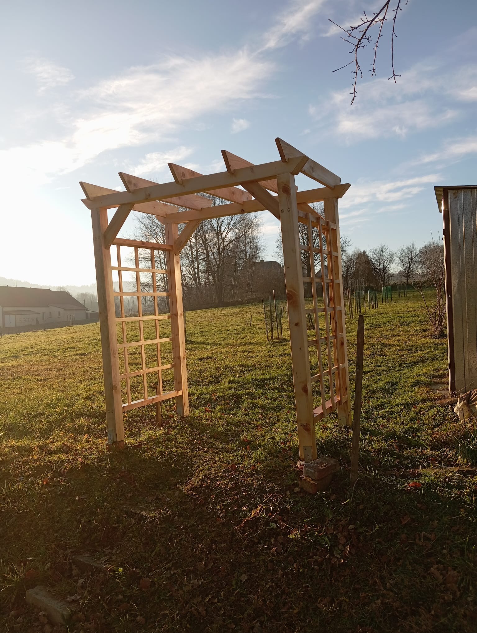 Drewniana pergola ogrodowa z kratownicą, wzniesiona na trawniku w słoneczny dzień. W tle zabudowania i drzewa.