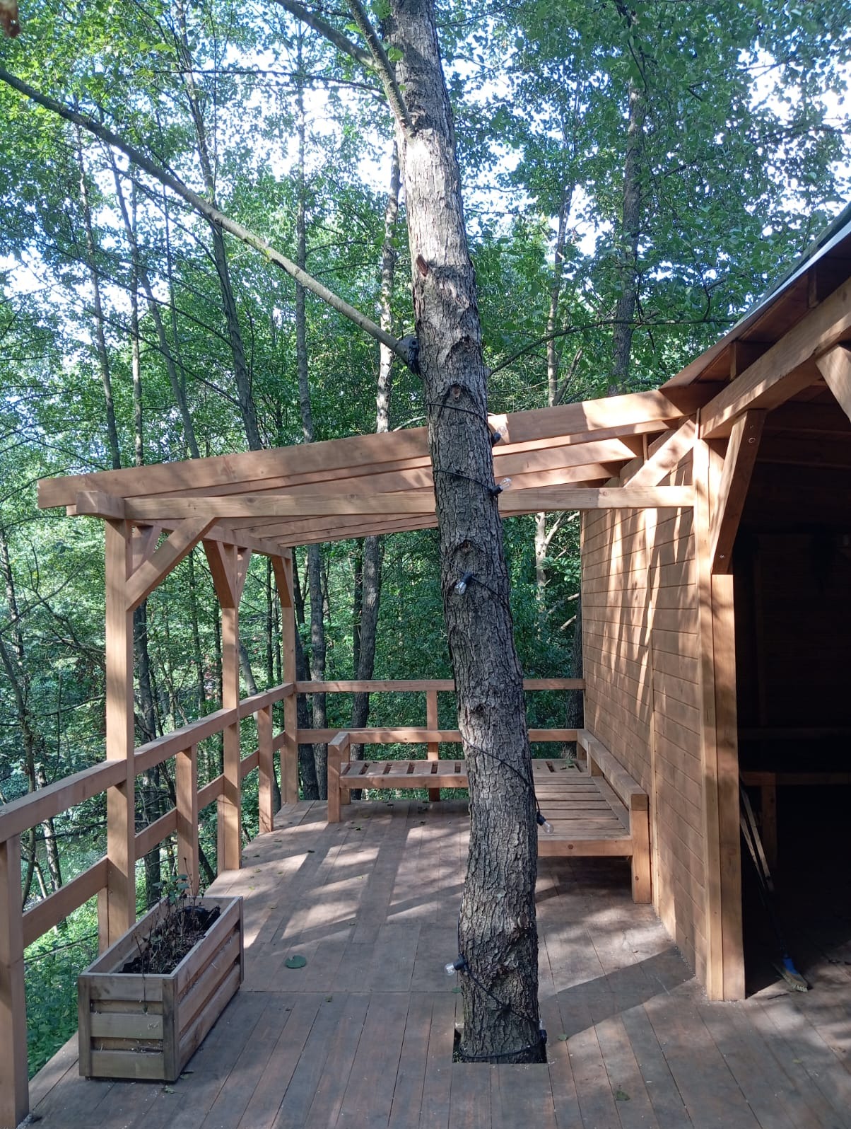 Drewniany taras z zadaszeniem, zbudowany wokół drzewa, otoczony lasem. Na tarasie ławki i donica. Oświetlenie dekoracyjne na pniu drzewa. Widok na zieleń.