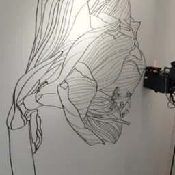 Czarno-biały, konturowy rysunek amarylisa na białej ścianie, z widocznym sprzętem do projektowania na ścianie w prawym górnym rogu.