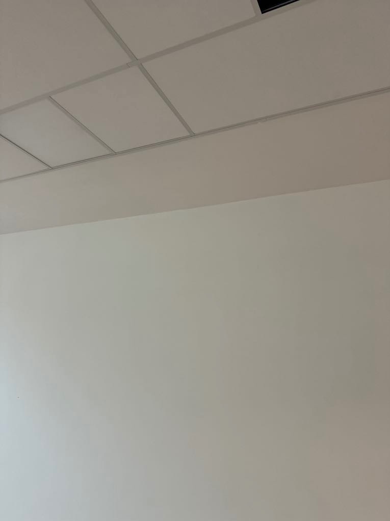 Biała, pomalowana ściana z widocznym fragmentem sufitu podwieszanego kasetonowego.
