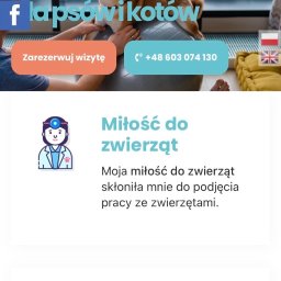 Migan sp. zoo - Strona internetowa firmy Happy Łapy z psem Shiba Inu na piłce rehabilitacyjnej. Profesjonalne zabiegi dla psów i kotów. Przycisk rezerwacji wizyty i numer telefonu.