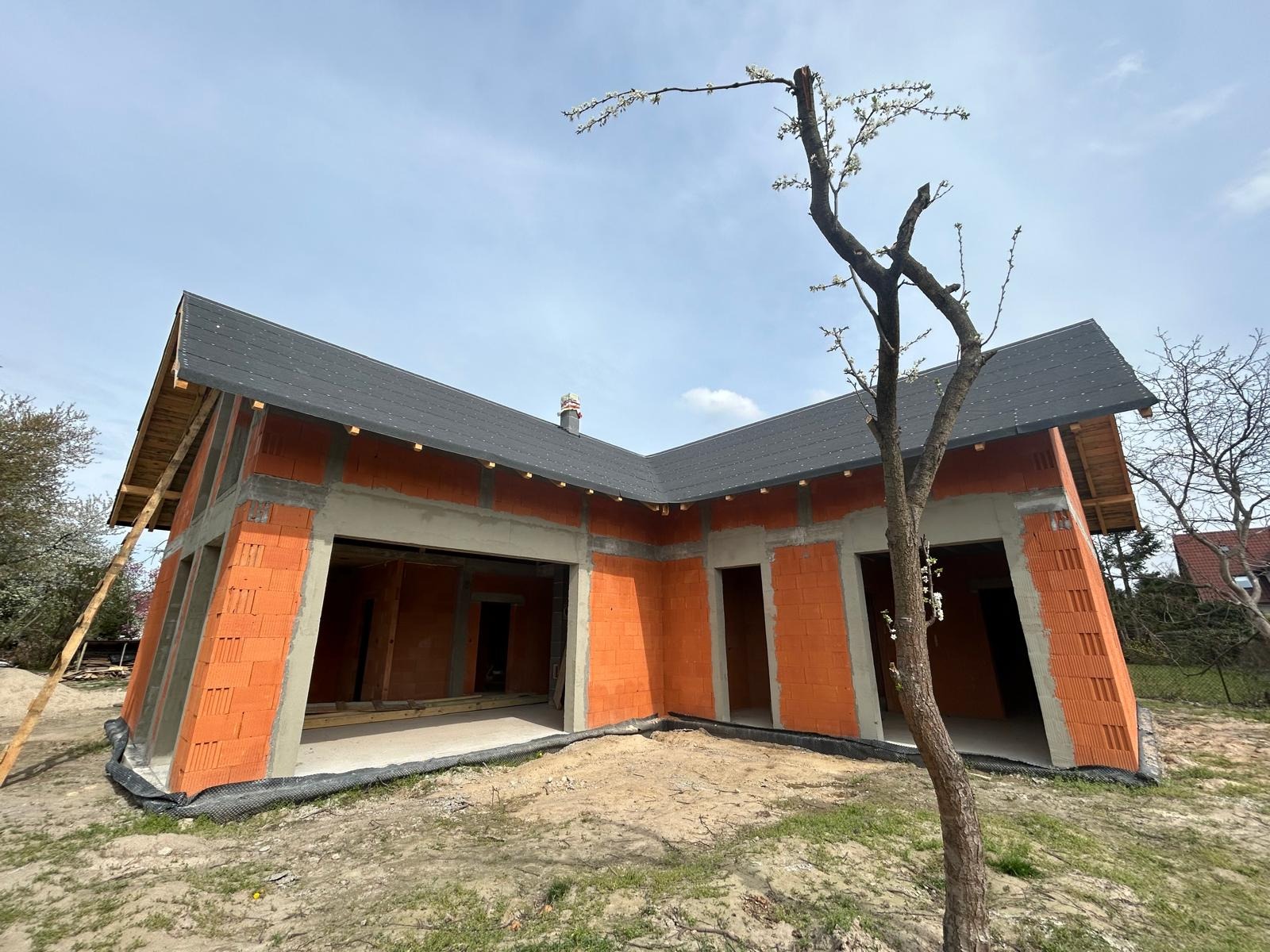 Budowa domu jednorodzinnego z czerwonej cegły, z szarym dachem, widoczne otwory okienne i drzwiowe, surowy stan, otoczenie placu budowy, drzewo z kwitnącymi gałęziami.