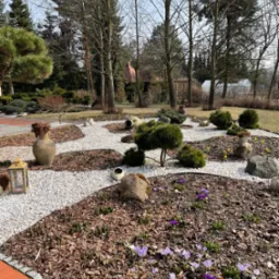 Ogród z wyznaczonymi ścieżkami z białego żwiru, rabaty wysypane korą, ozdobne donice, lampa ogrodowa i kwitnące krokusy.